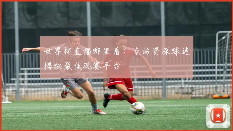 世界杯直播哪里看？专访资深球迷揭秘最佳观赛平台